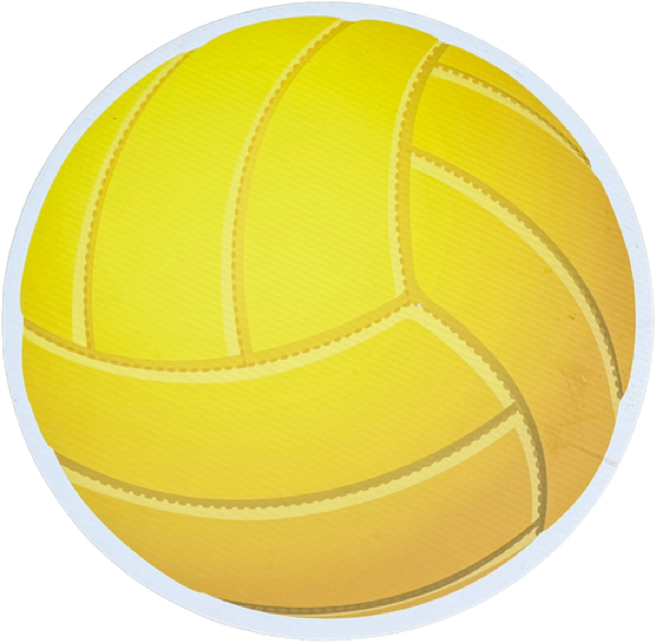 Volleyball